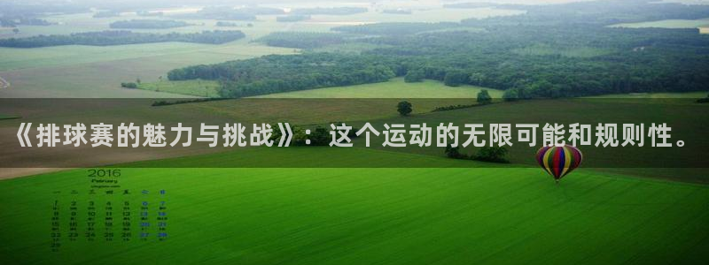 《排球赛的魅力与挑战》：这个运动的无限可能和规则性。