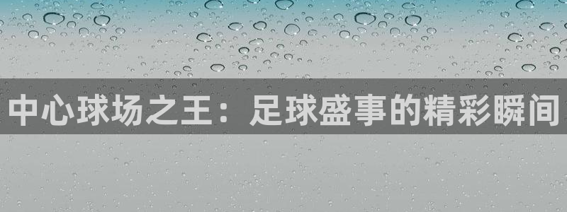 中心球场之王：足球盛事的精彩瞬间