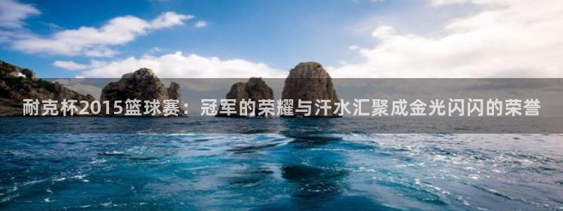 耐克杯2015篮球赛：冠军的荣耀与汗水汇聚成金光闪闪的荣誉