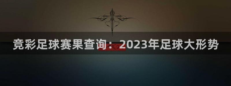 球王会体育app官网入口下载：竞彩足球赛果查询：2023年足