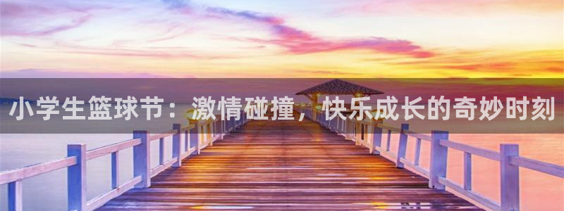 球王会体育下载安装：小学生篮球节：激情碰撞，快乐成长的奇妙时