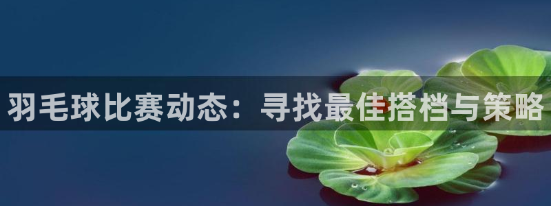 球王会体育手机app下载：羽毛球比赛动态：寻找最佳搭档与策略