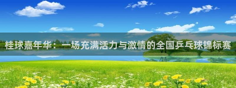 球王会体育平台网页：桂球嘉年华：一场充满活力与激情的全国乒乓